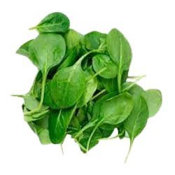 Spinch/పాలకూర